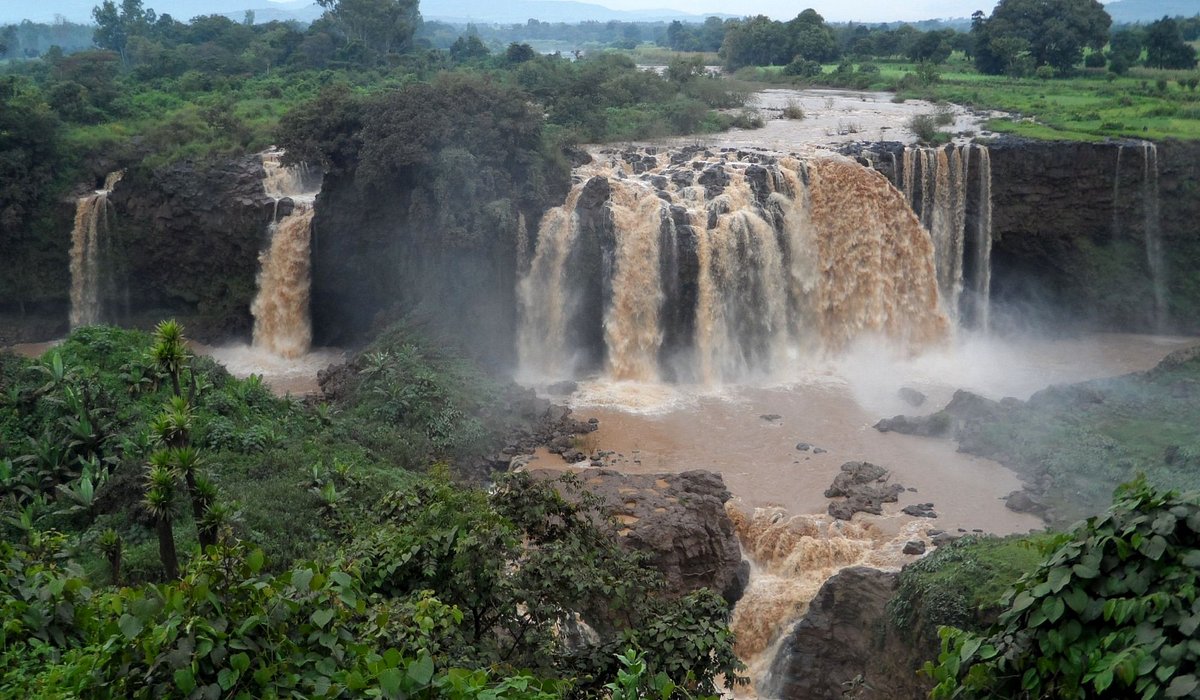 Media for Imperial Palace