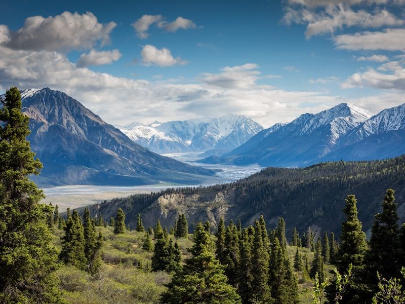 Entoto Mountain Experience